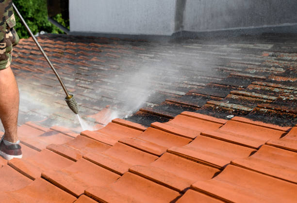 Best Exterior Home Cleaning  in Clifton, AZ
