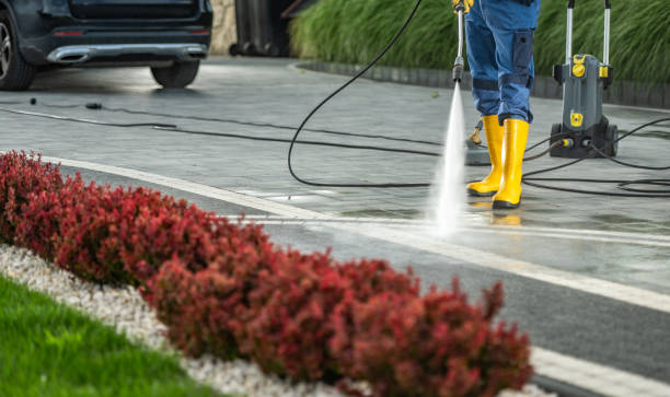 Best Roof Power Washing Services  in Clifton, AZ