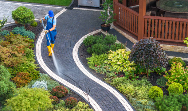 Best Best Pressure Washing Companies  in Clifton, AZ