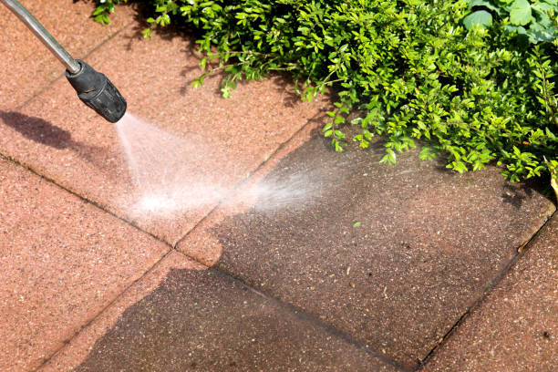 Best Pressure Washing Company Near Me  in Clifton, AZ